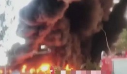 一场大火孤儿爆料视频,痛揭火灾真相