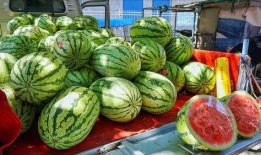 宜春网红吃瓜事件真相,揭秘背后真相与网络舆论的反思